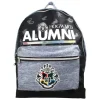 Mochila infantil Viajes de Harry Potter Alumni Hogwarts 40 X 31 X 11 cm.