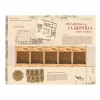 Clearance Mosaicos tradicionales del Mediterráneo. Villa romana de la Quintilla. Lorca (Murcia) | Pliego Premium