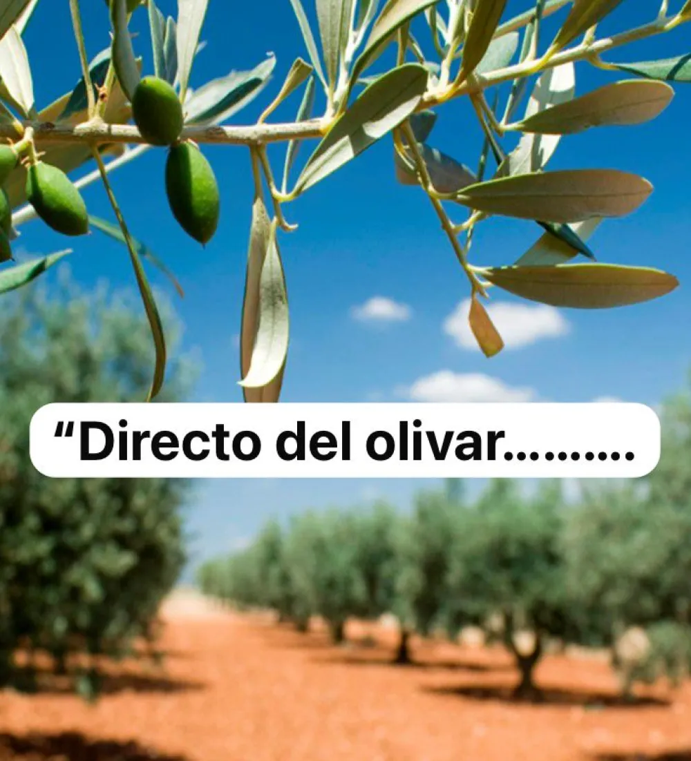 Outlet Aceite Olhea Pack de 3 Aove Olhea