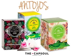 Pack de infusiones - Antojos (pirámides)