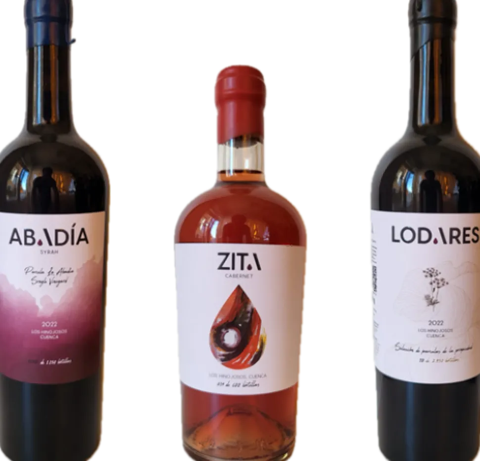Pack Lodares 22