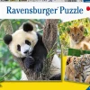 Ravensburger Panda, tigre y león. Puzzle 3x49 piezas