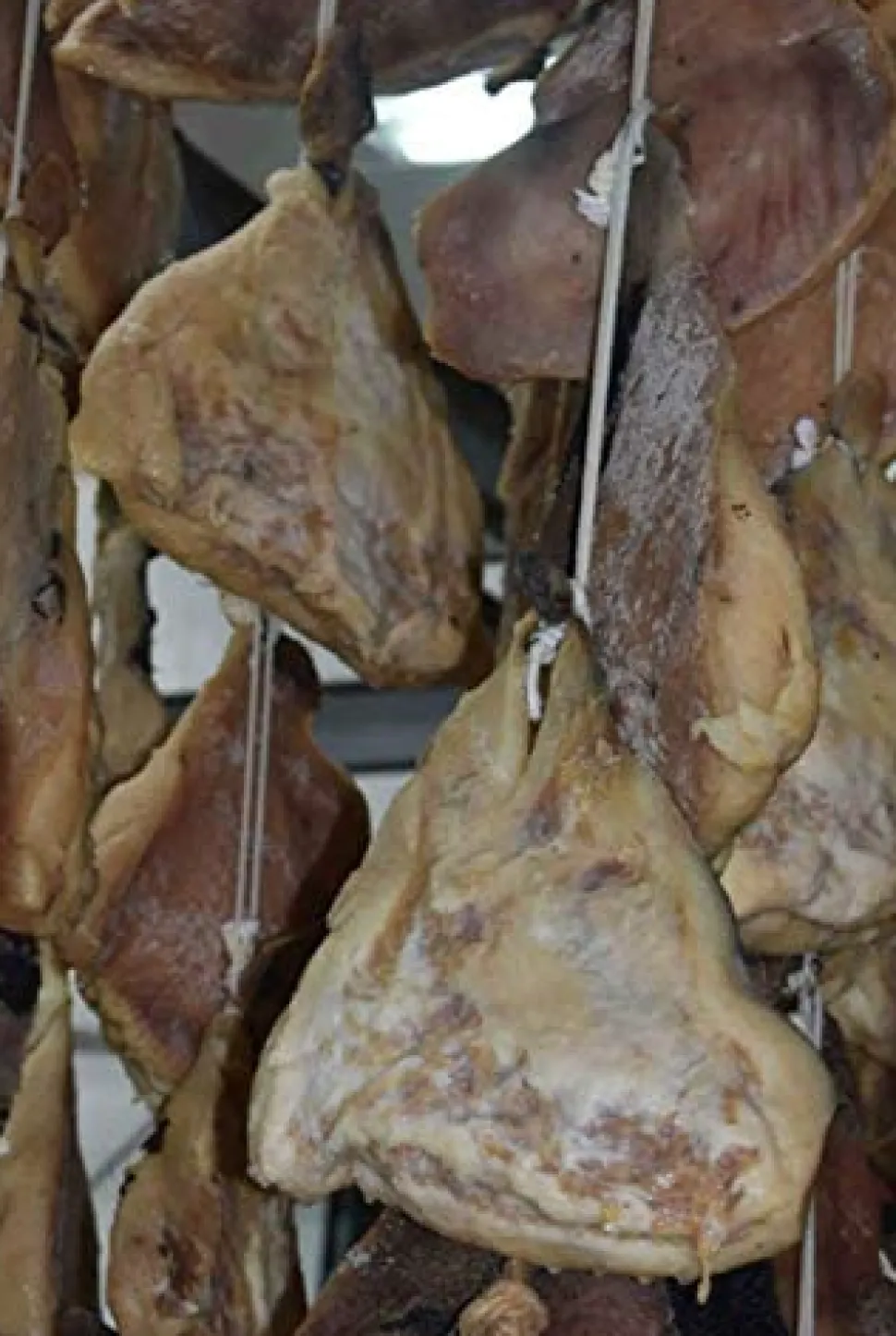 Papada Ibérica de Bellota