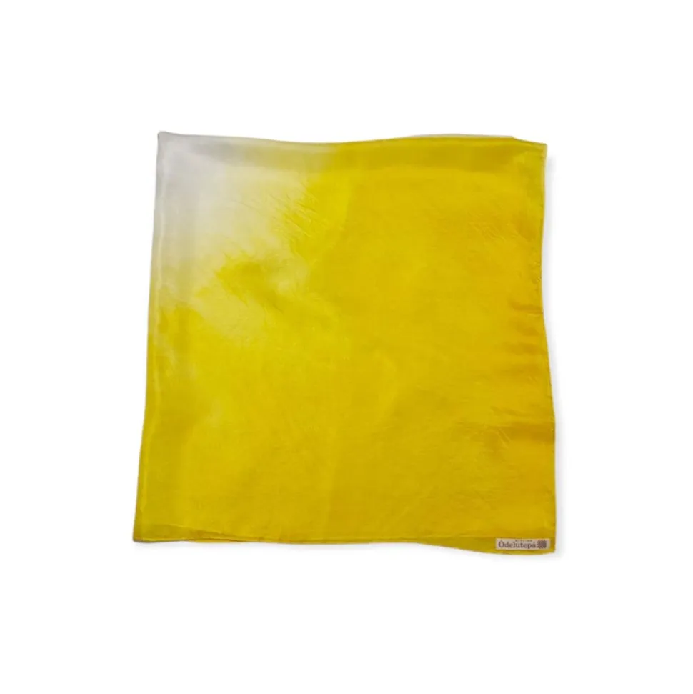 Pañuelo de seda natural modelo Hermes Mimosa
