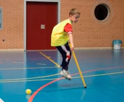 Pelota con mango