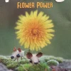 Pixies flower power (Expansión)