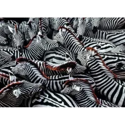Clementoni Puzzle 1000 Piezas Cebras Africanas National Geographic