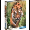 Best Clementoni Puzzle 1000 Piezas El Camino de Cazador Tigre -