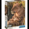 Puzzle 500 piezas Leona adulta y Cachorro - Clementoni