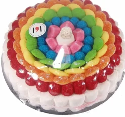 Sale Subtitulat Rainbow Cake 27cm