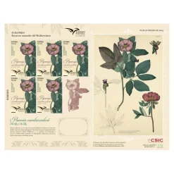 Sello Paeonia cambessedesii | Serie Euromed - Recursos Naturales del Mediterráneo | Pliego premium