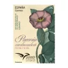 Sale Sello Paeonia cambessedesii | Serie Euromed - Recursos Naturales del Mediterráneo