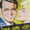 Suave como visón (Suevia) [DVD] [dvd]