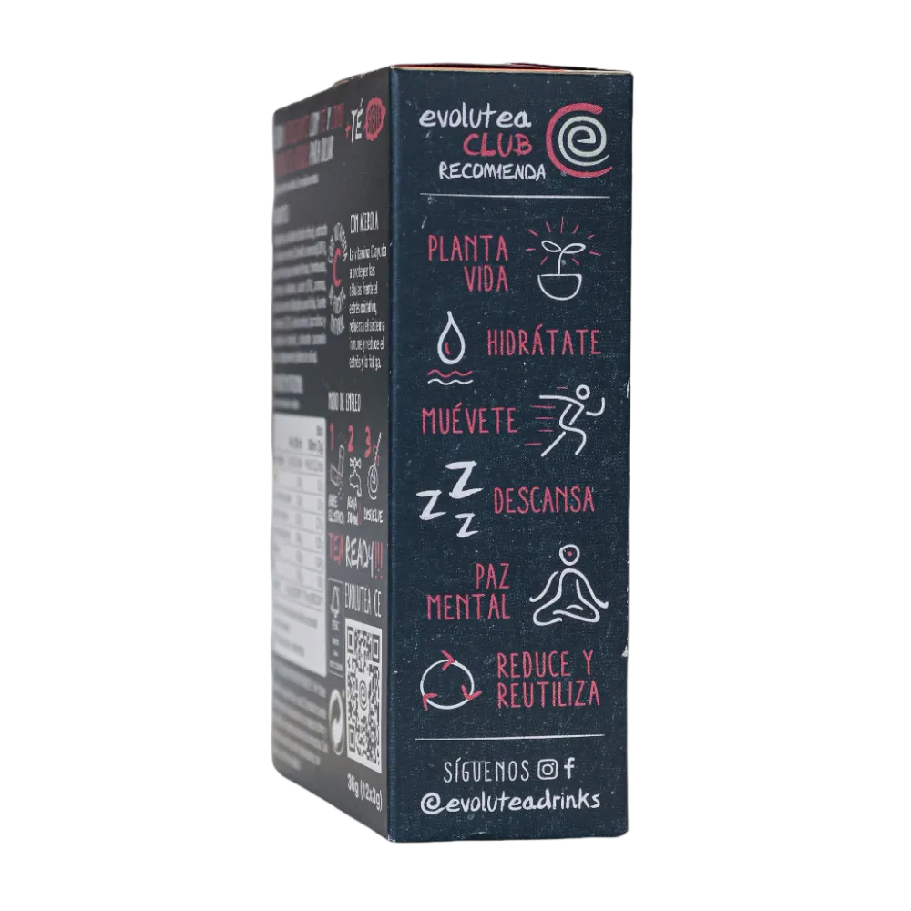 Online Evolutea Ice Té negro frutos rojos - 6 litros