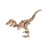 Veloceraptor
